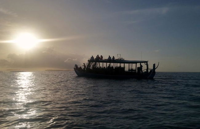 Cruzeiro ao Pôr do Sol com Golfinhos - Foto 4